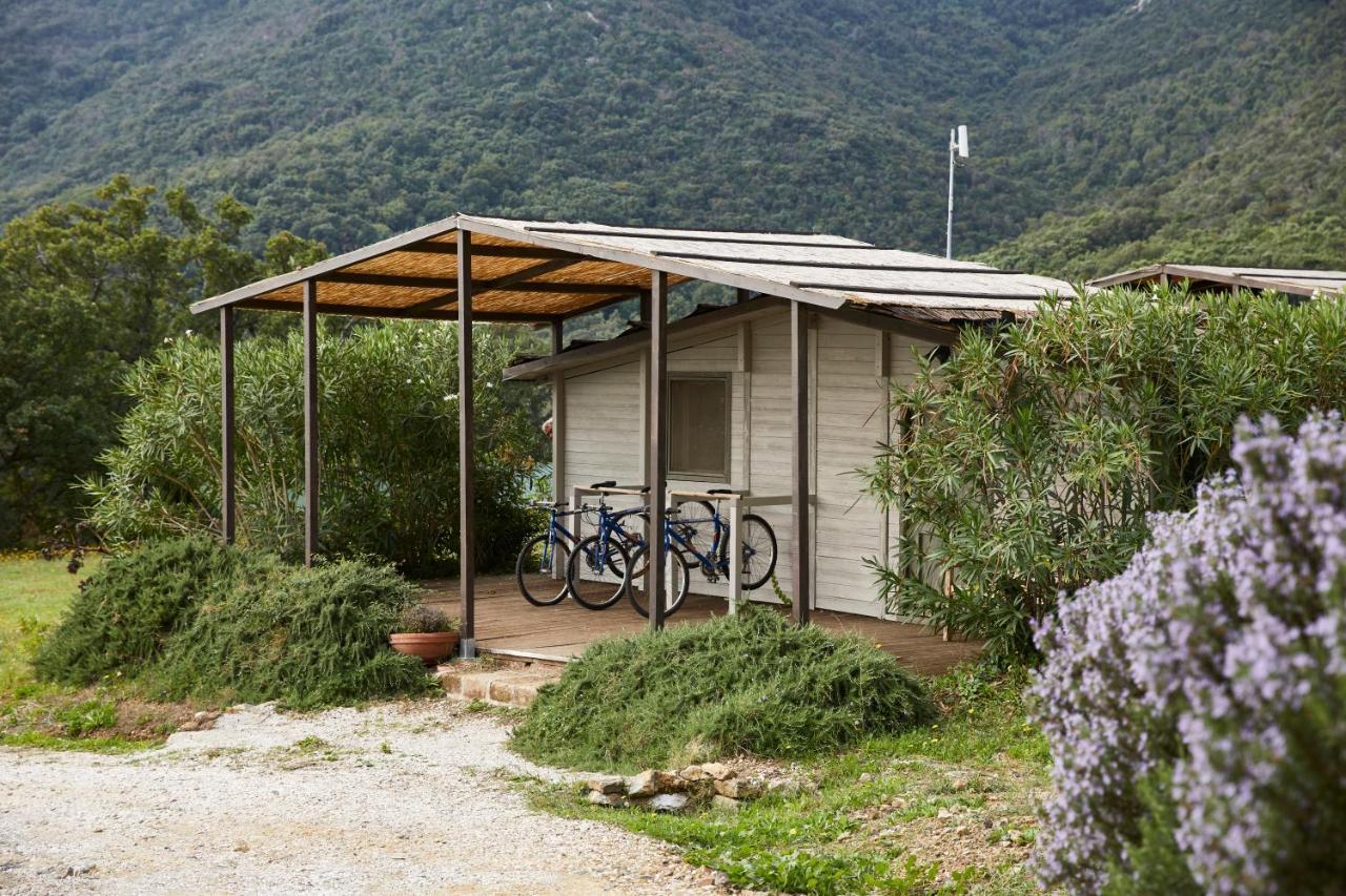Agriturismo Boschi Di Montecalvi Suvereto Exterior photo