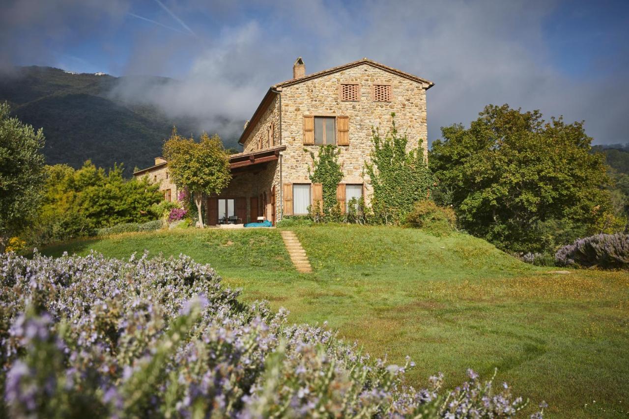 Agriturismo Boschi Di Montecalvi Suvereto Exterior photo