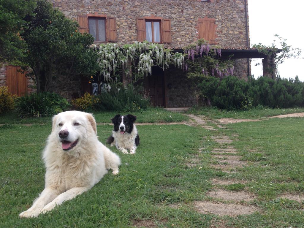 Agriturismo Boschi Di Montecalvi Suvereto Exterior photo