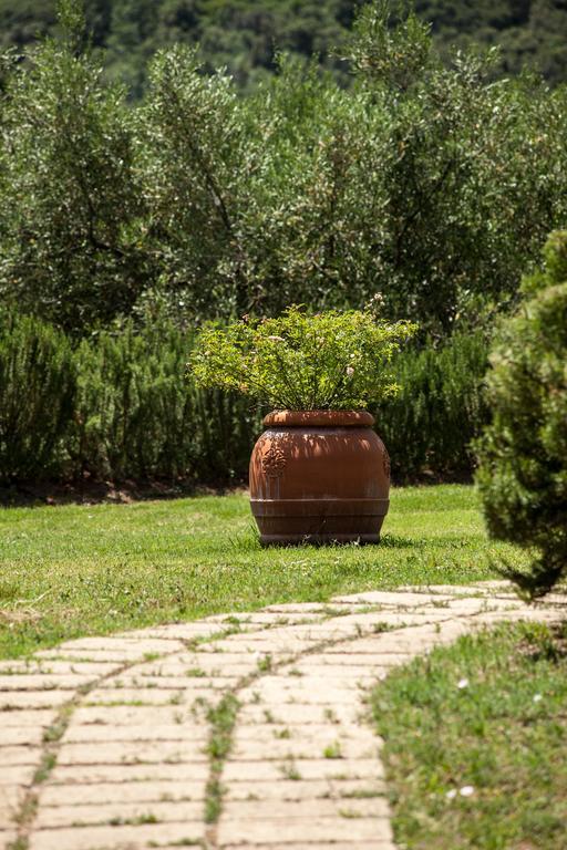 Agriturismo Boschi Di Montecalvi Suvereto Exterior photo